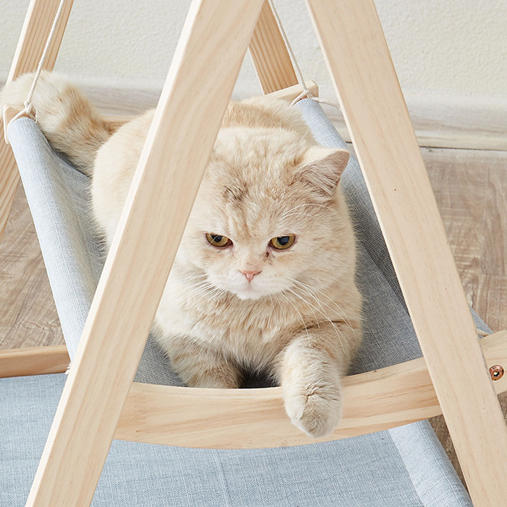 Cat Hammock Bed, The Premium Choice | ZAKAPOP