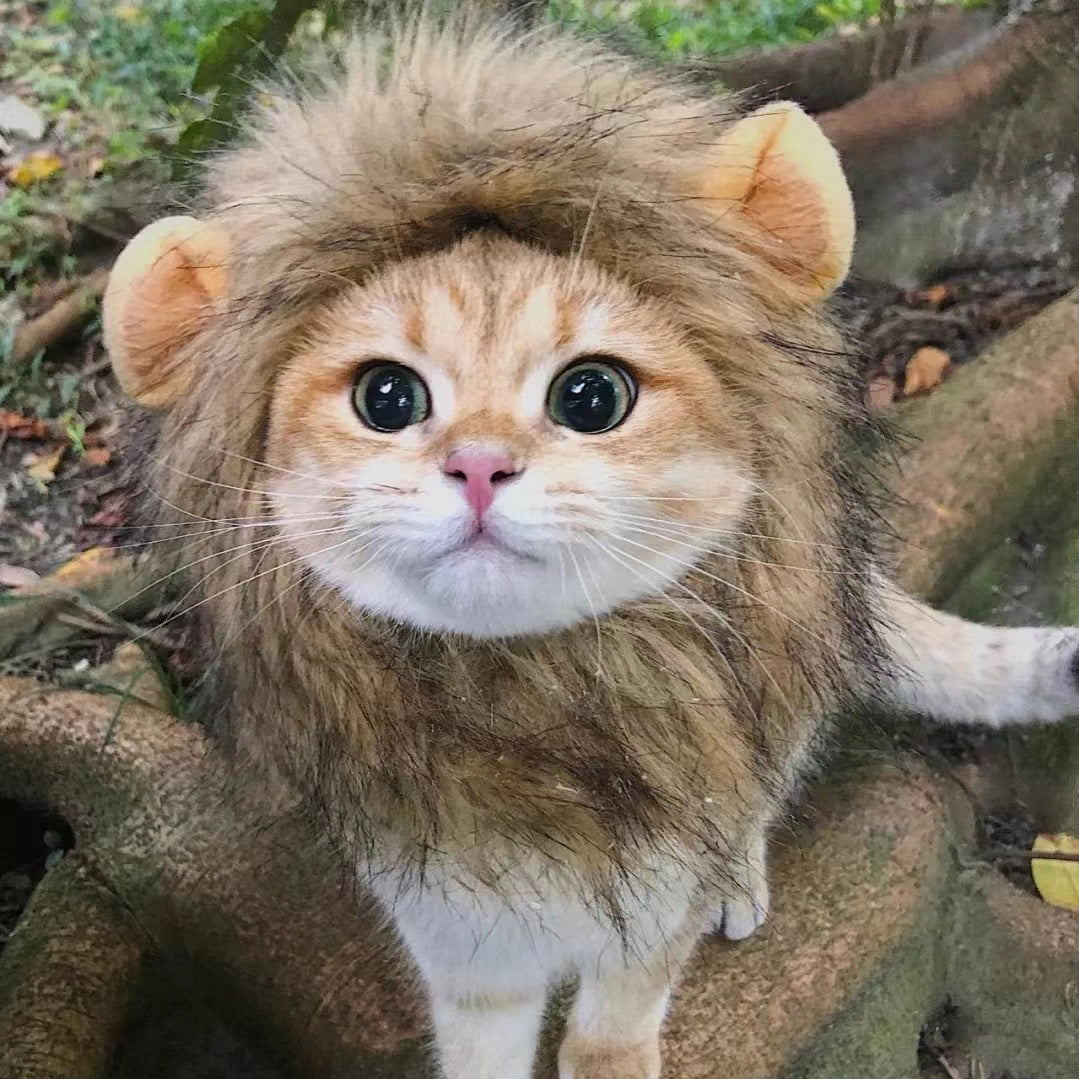 Cute Lion Mane Wig for Cat Costume Pet | ZAKAPOP