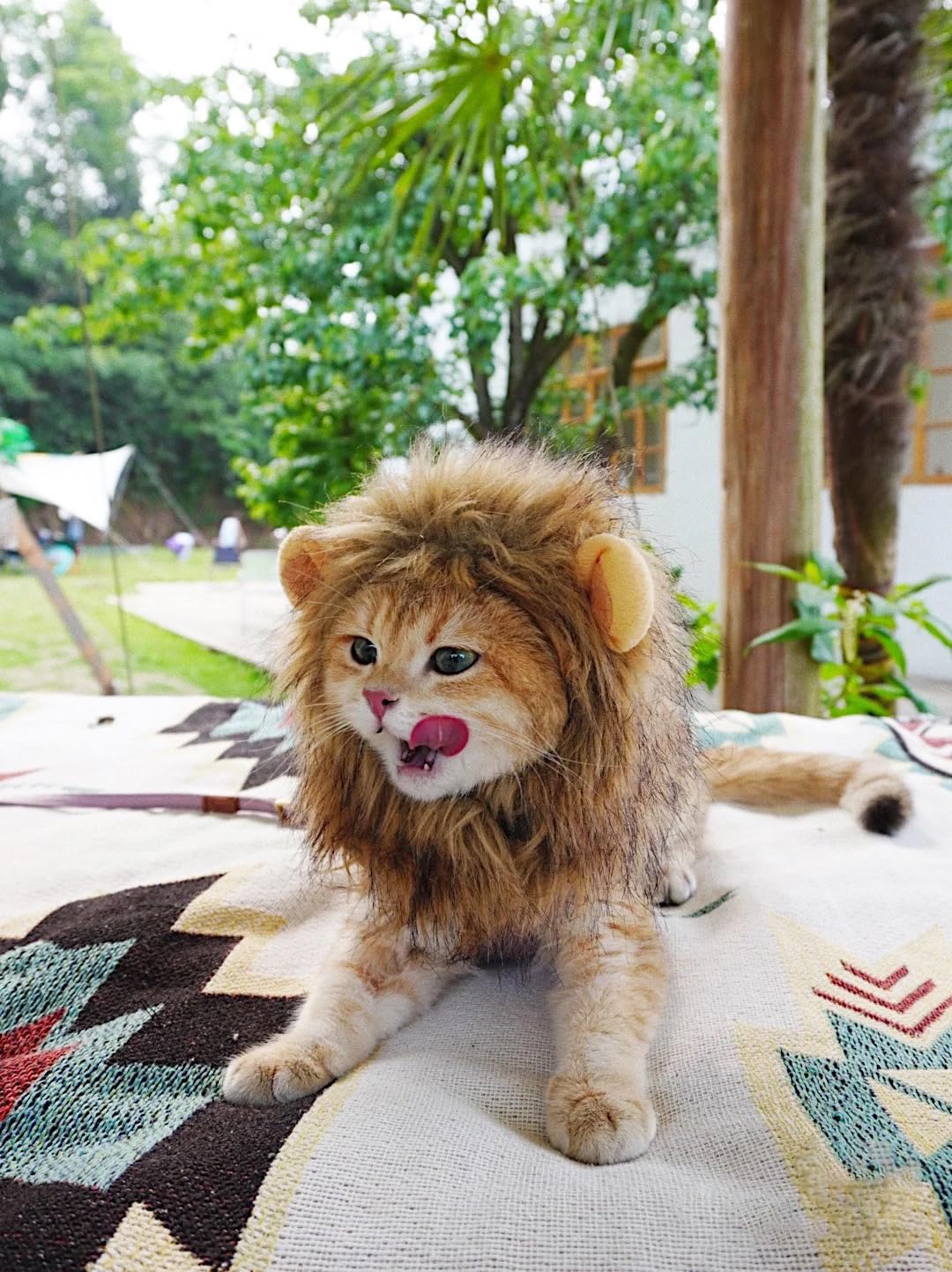 Cute Lion Mane Wig for Cat Costume Pet | ZAKAPOP