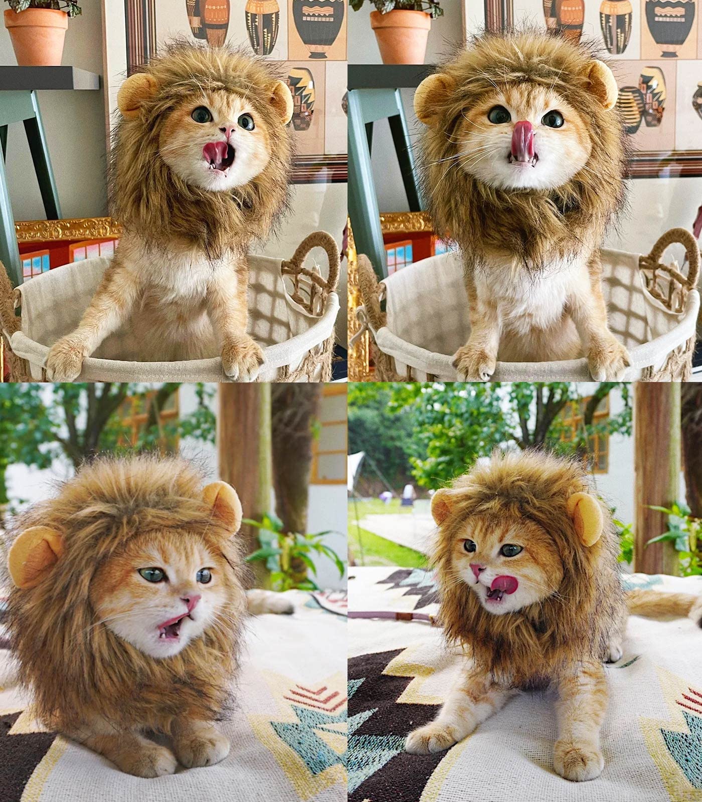 Cute Lion Mane Wig for Cat Costume Pet | ZAKAPOP