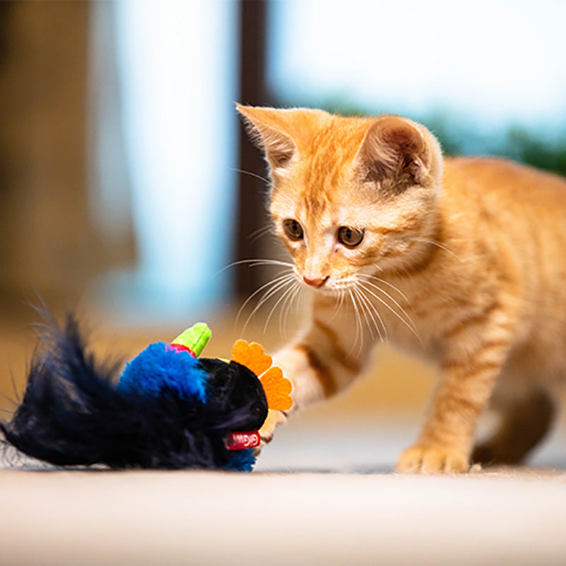 Interactive Electronic Cat Chirping Bird Toy | ZAKAPOP