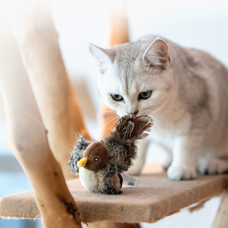 Interactive Electronic Cat Chirping Bird Toy | ZAKAPOP